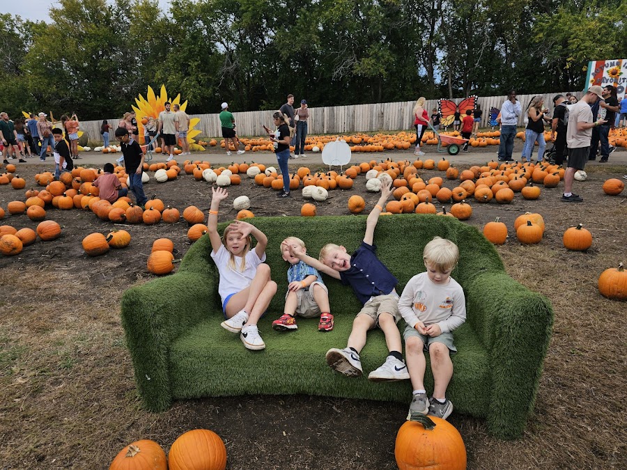 KC Pumpkin Patch