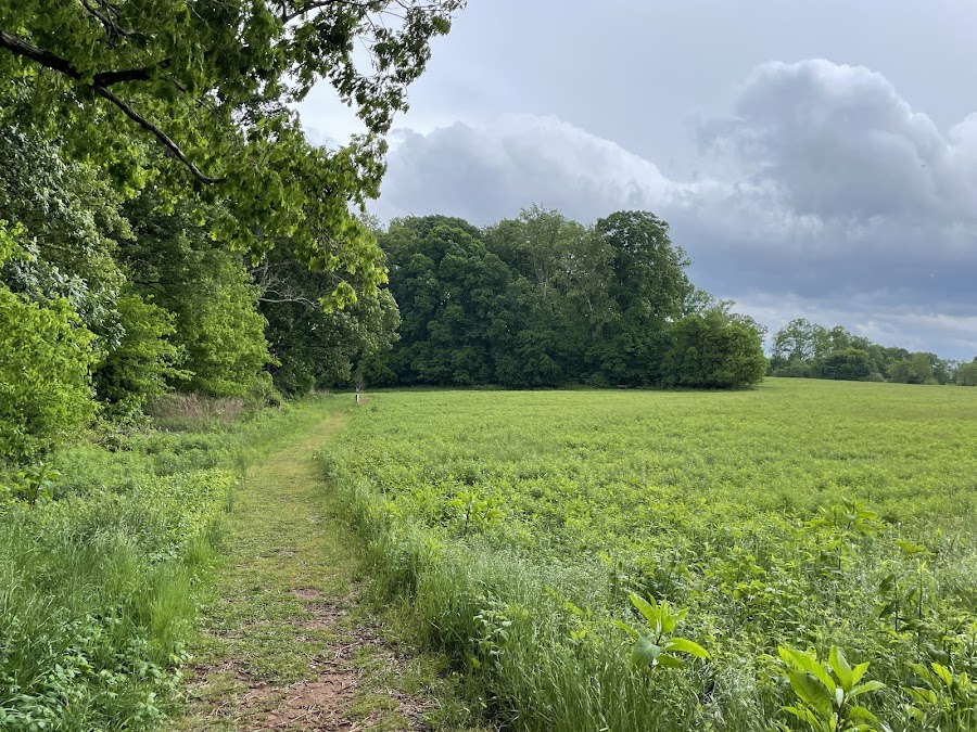 Clarks Creek Nature Preserve