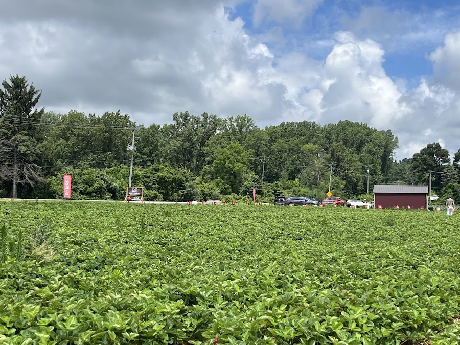 Laux Farms