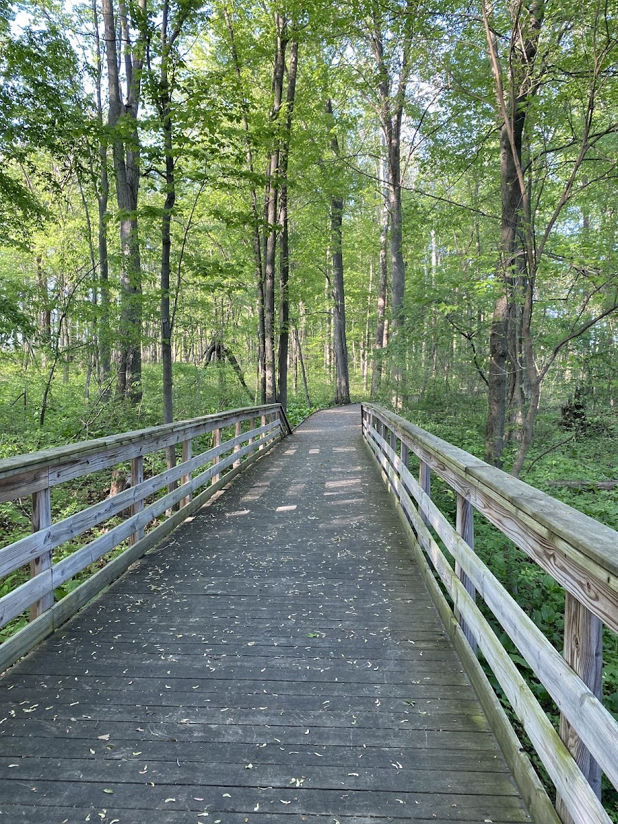 Bradner Preserve