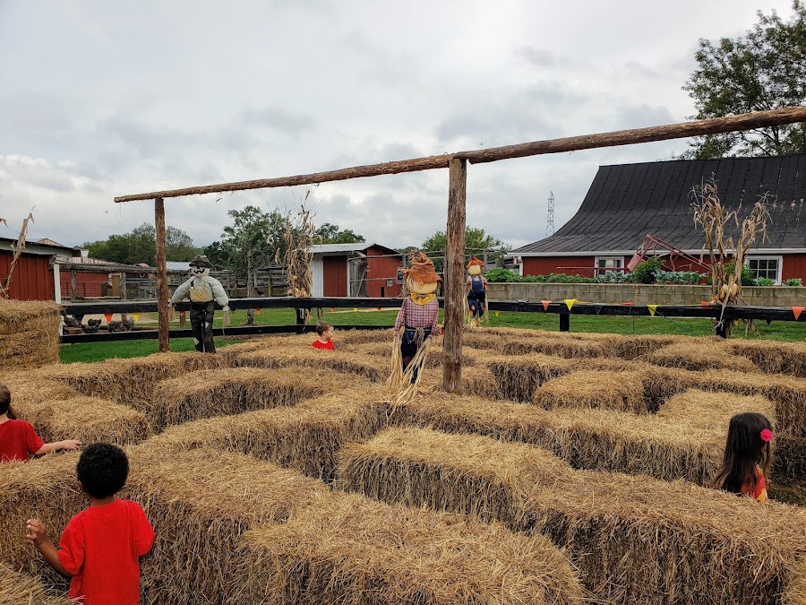 Curtin Farms