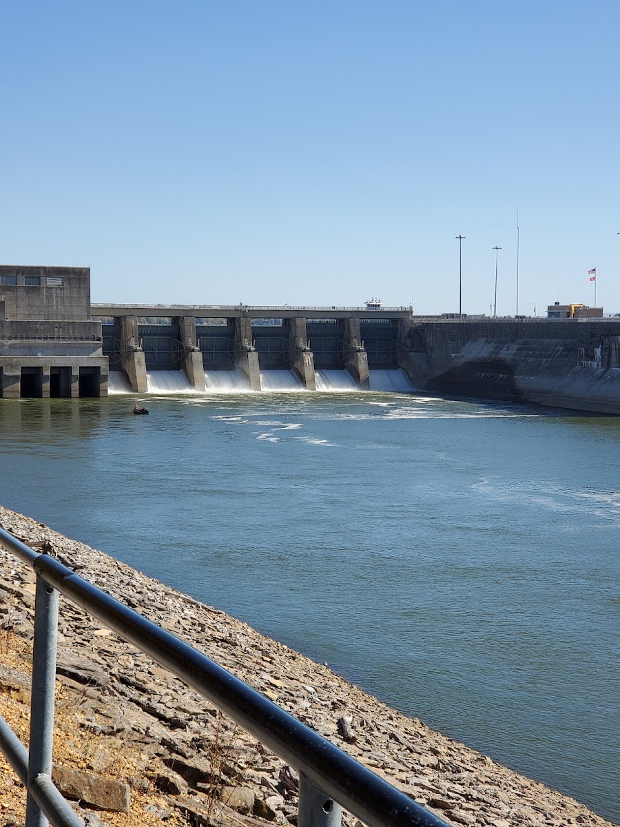 Tailwater Access Area