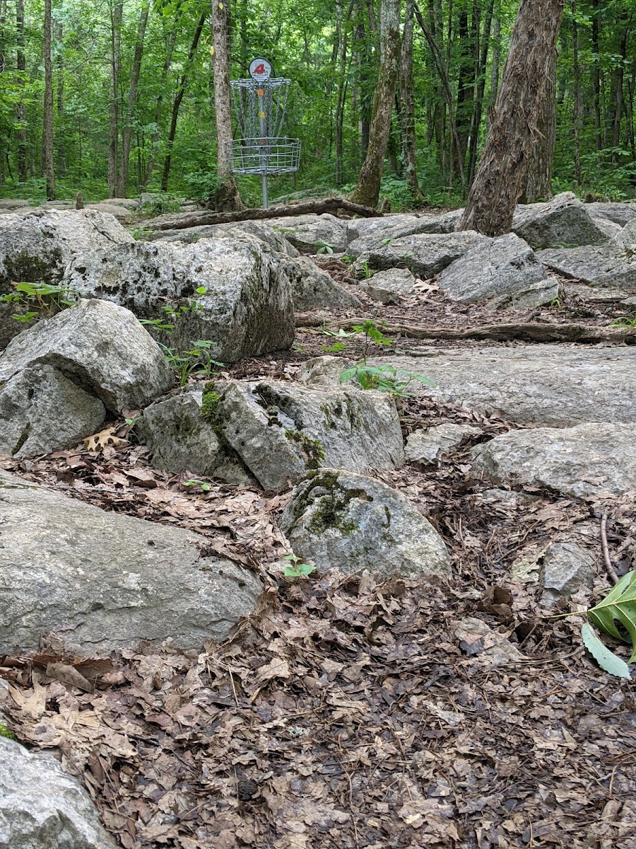 Barfield Crescent Disc Golf
