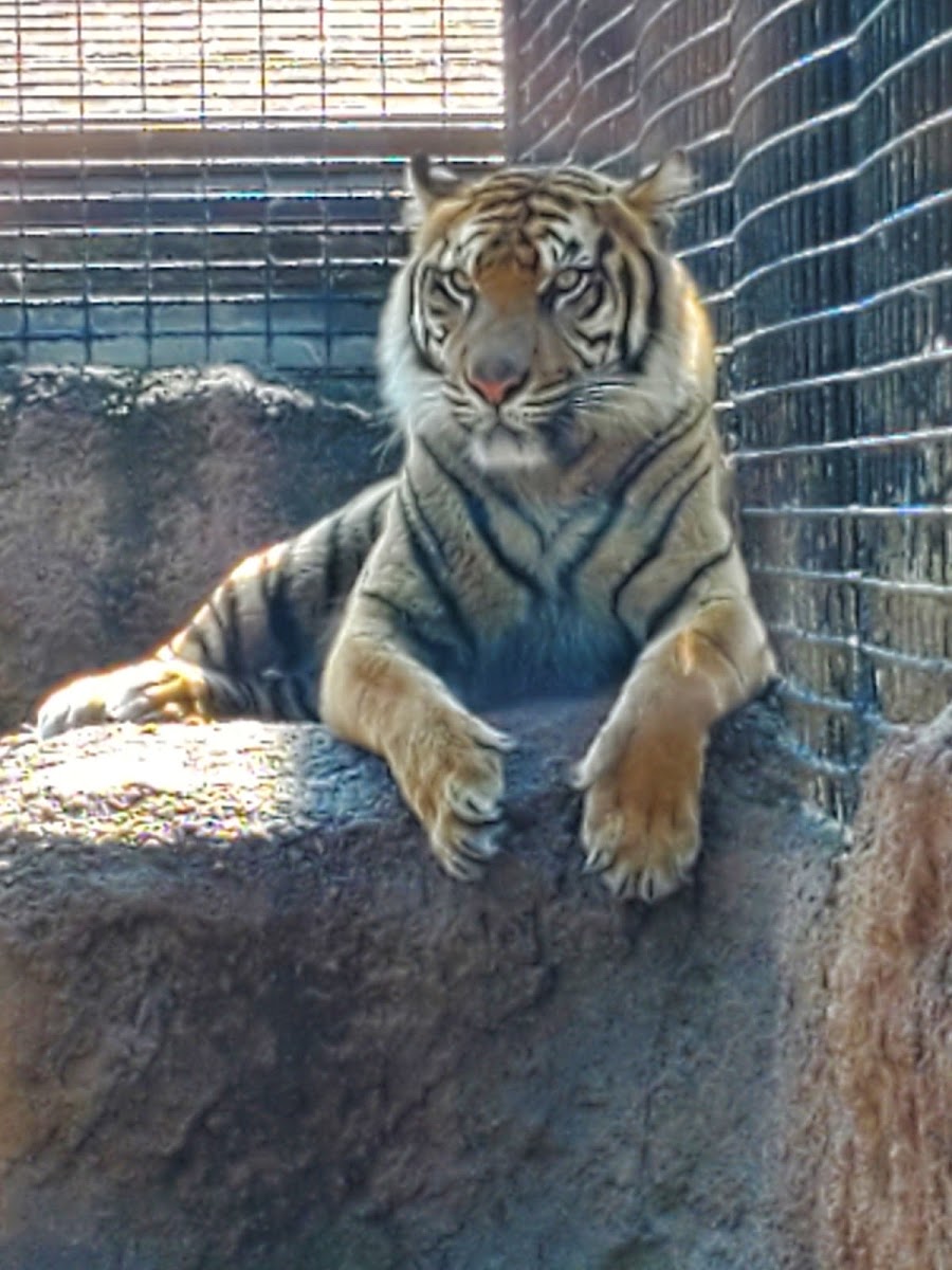Topeka Zoo