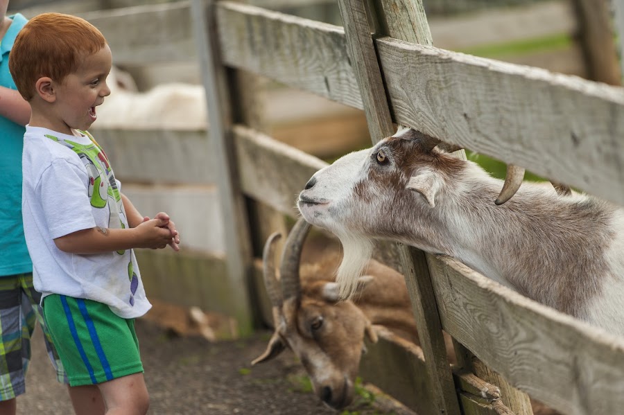 Maymont Farm