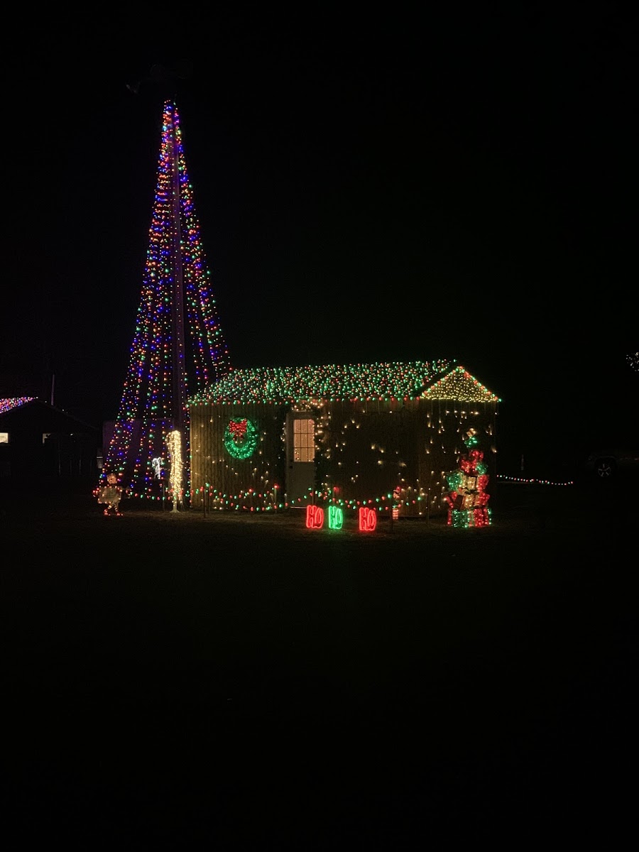 Amann’s Christmas in the country