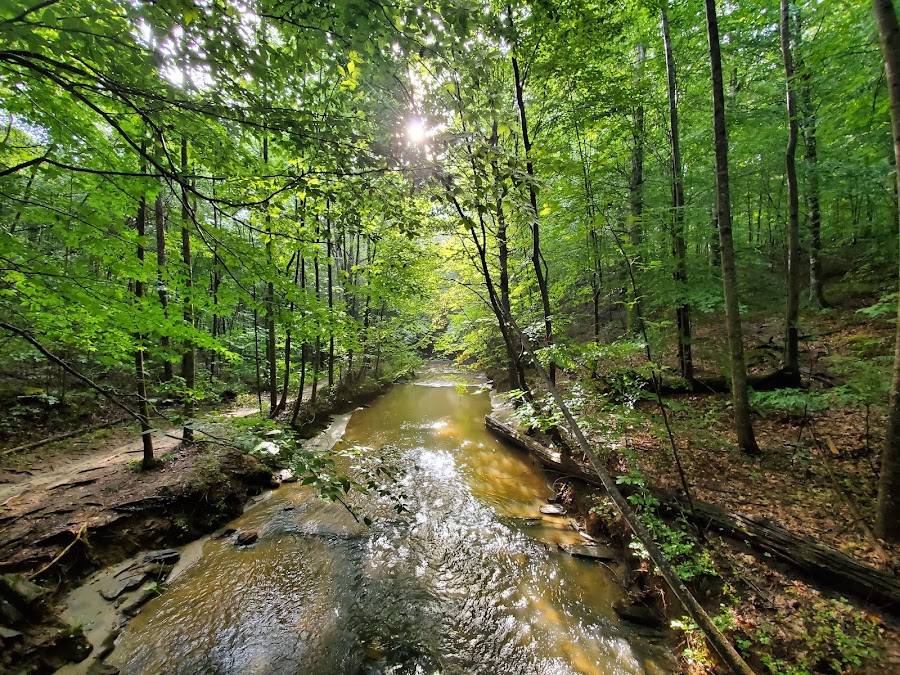 Annie Louise Wilkerson, MD Nature Preserve Park