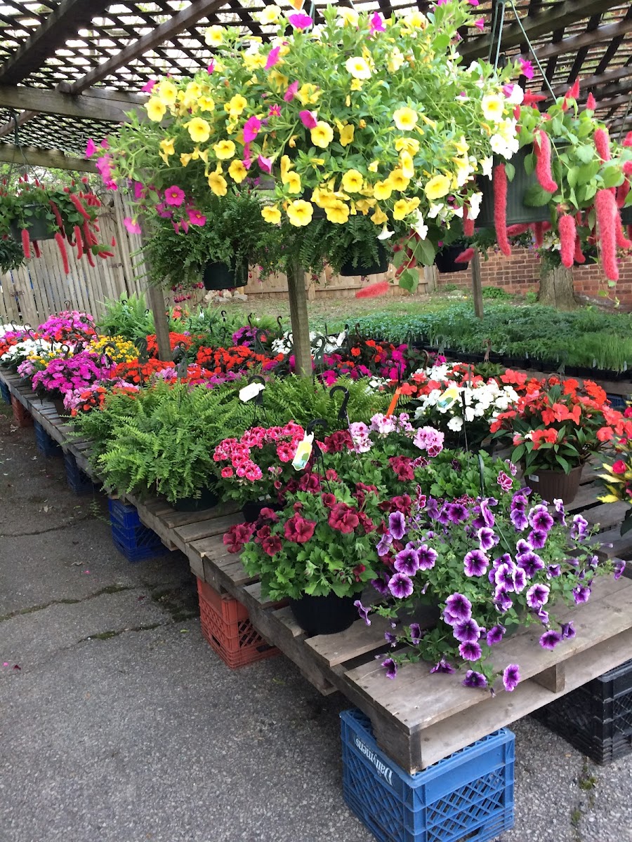 Ziggy's Produce & Farm Market