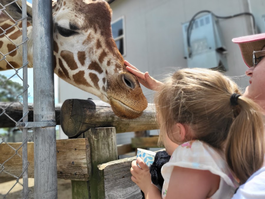 Aloha Safari Park