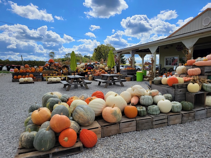 Branstool Orchards