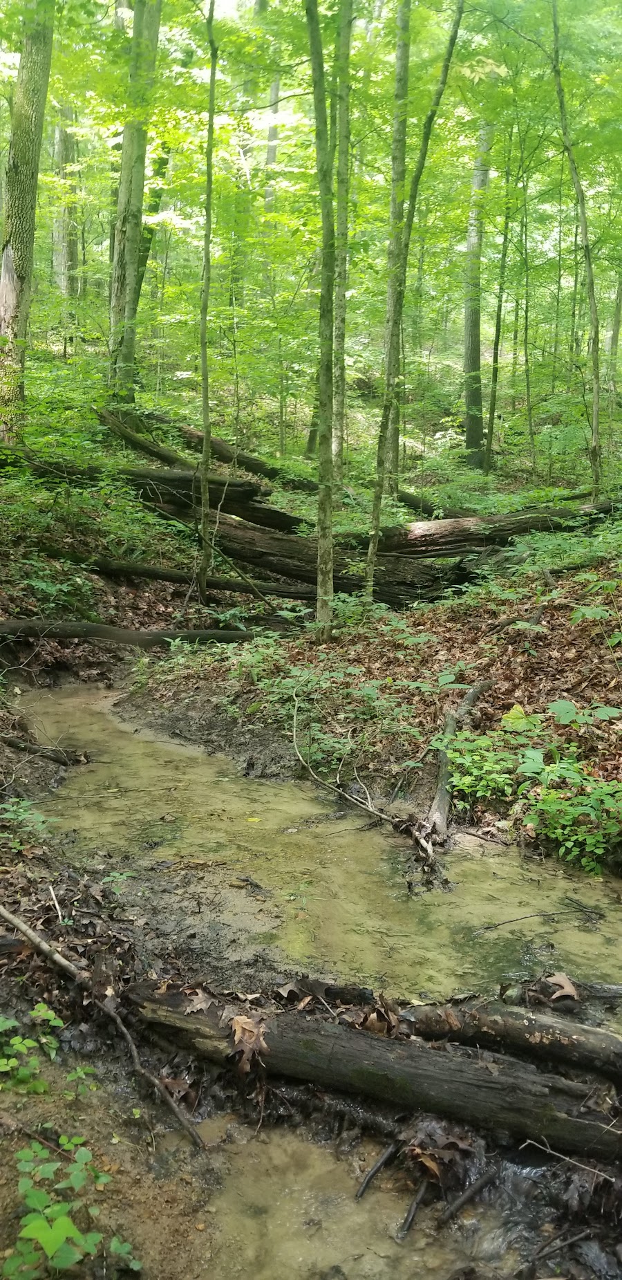 Fred & Dorothy Meyer Nature Preserve