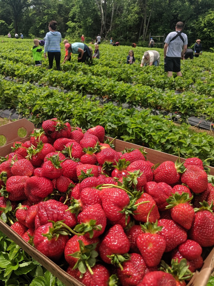 Wohletz Farm Fresh