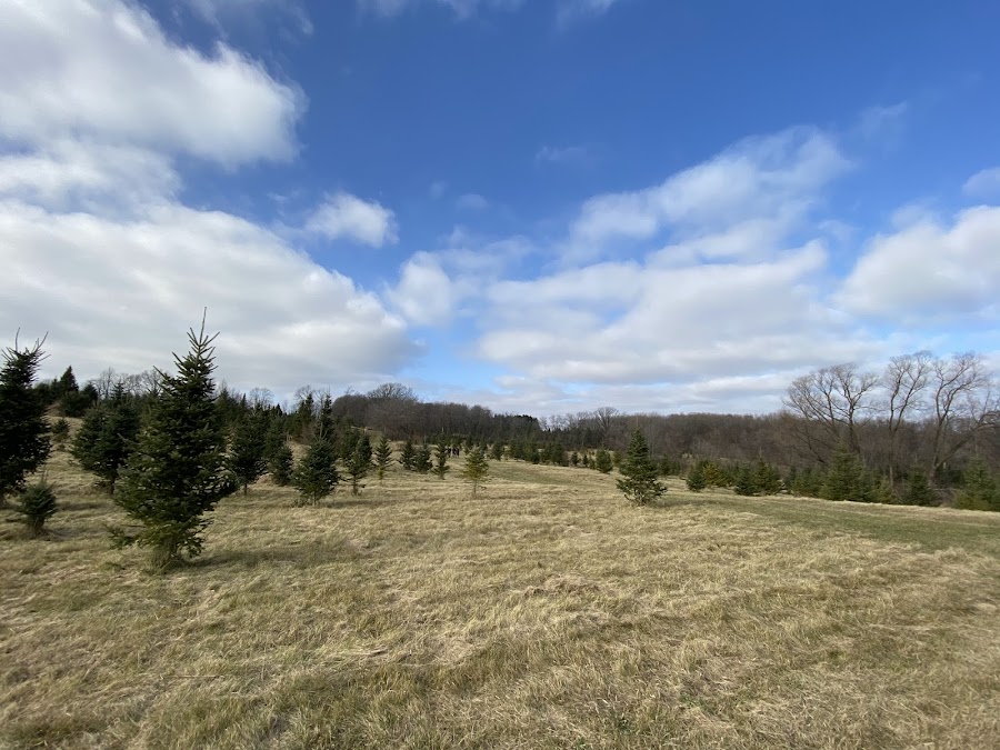 Anderson’s Christmas Tree Farm