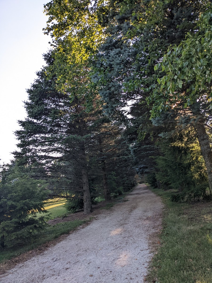 Ora Rice Arboretum