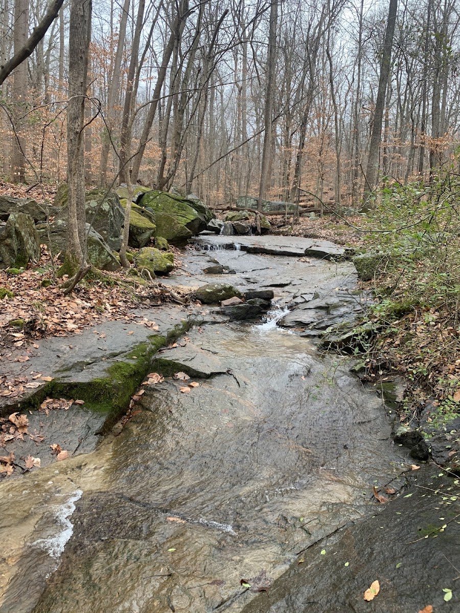 Larus Park Trailhead, North