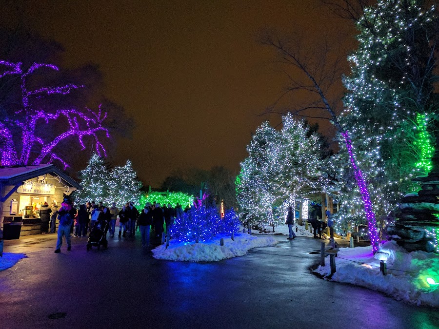 Toledo Zoo Lights Before Christmas
