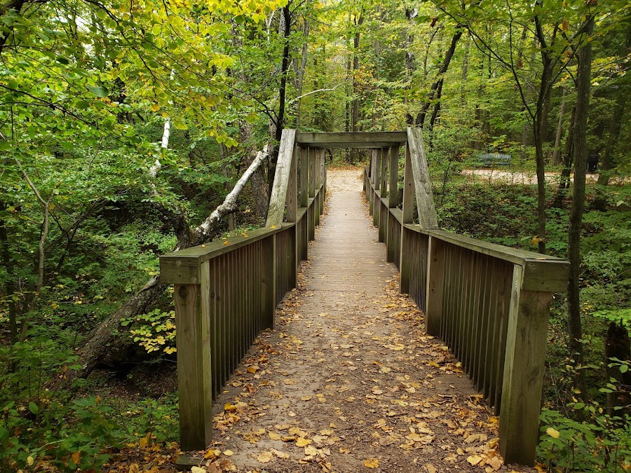 Lion's Den Gorge Nature Preserve
