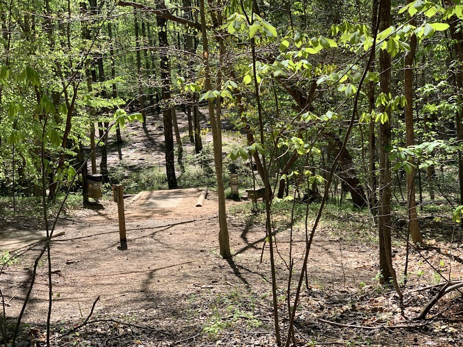 Reedy Creek Park Disc Golf Course