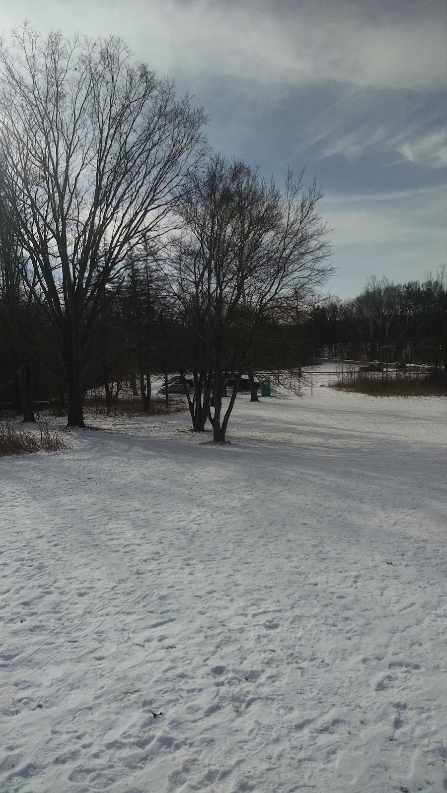 Pawpaw Sledding Area