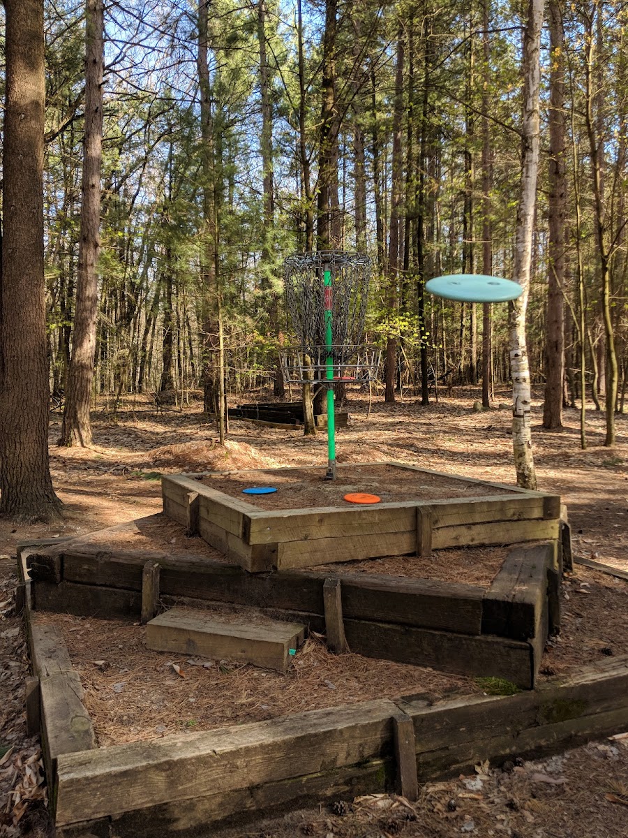 Smash Park Disc Golf Course