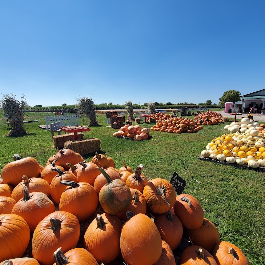 Kelsay Farms LLC