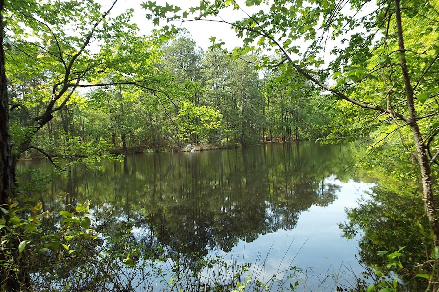 Williamson Preserve