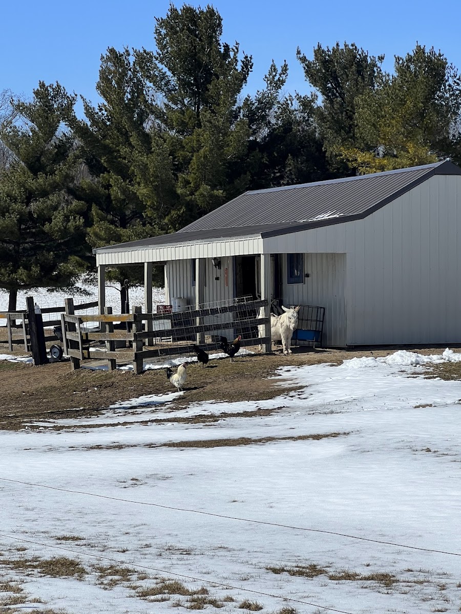 Homestead Animal Farm