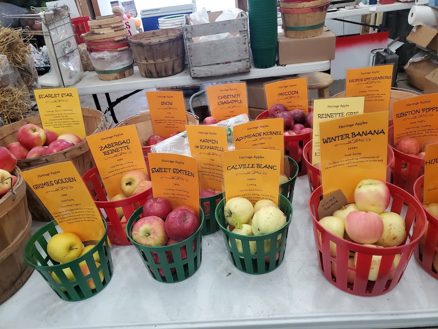 Blok Orchard