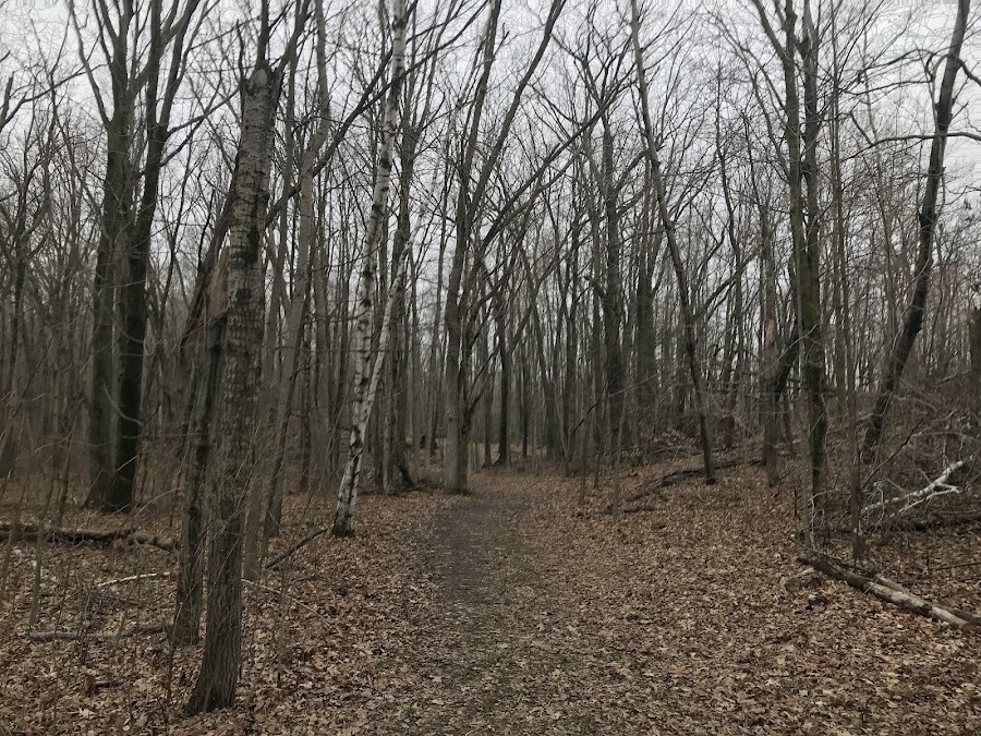 Kettle Moraine State Forest