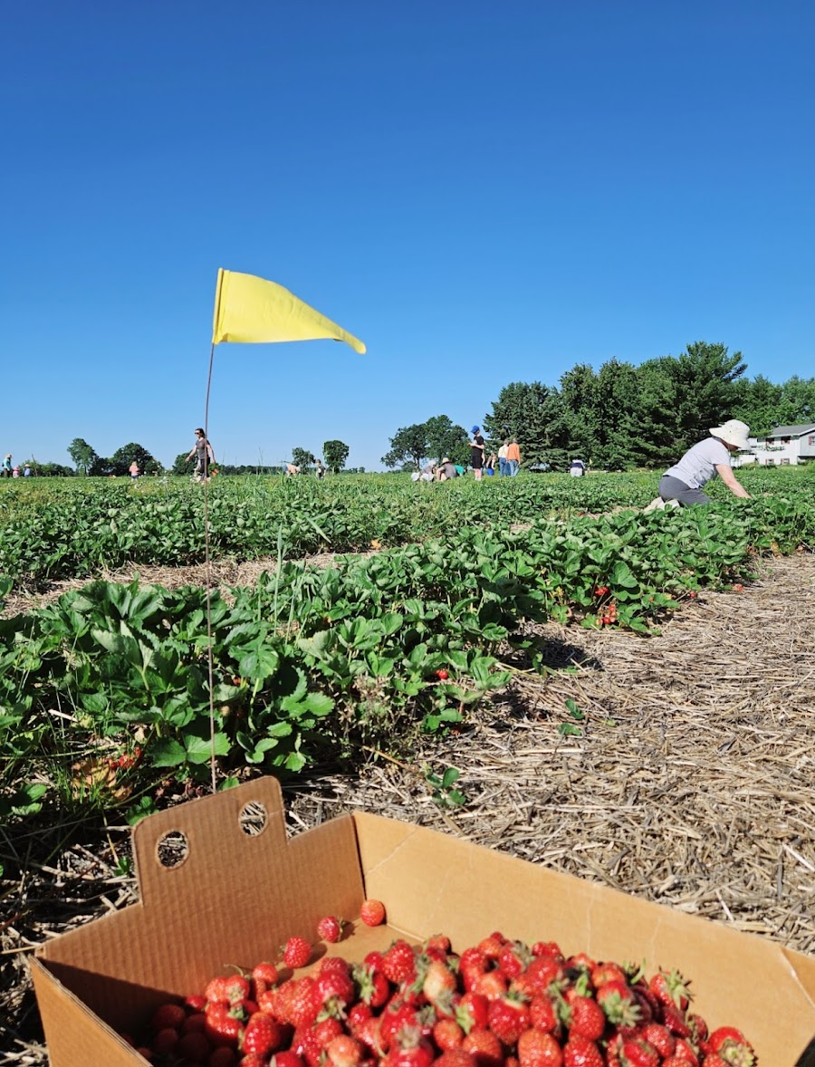 Brehmers' U-Pick Farms
