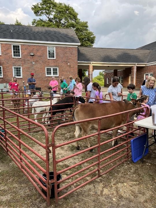 Barefoot Creek Farm
