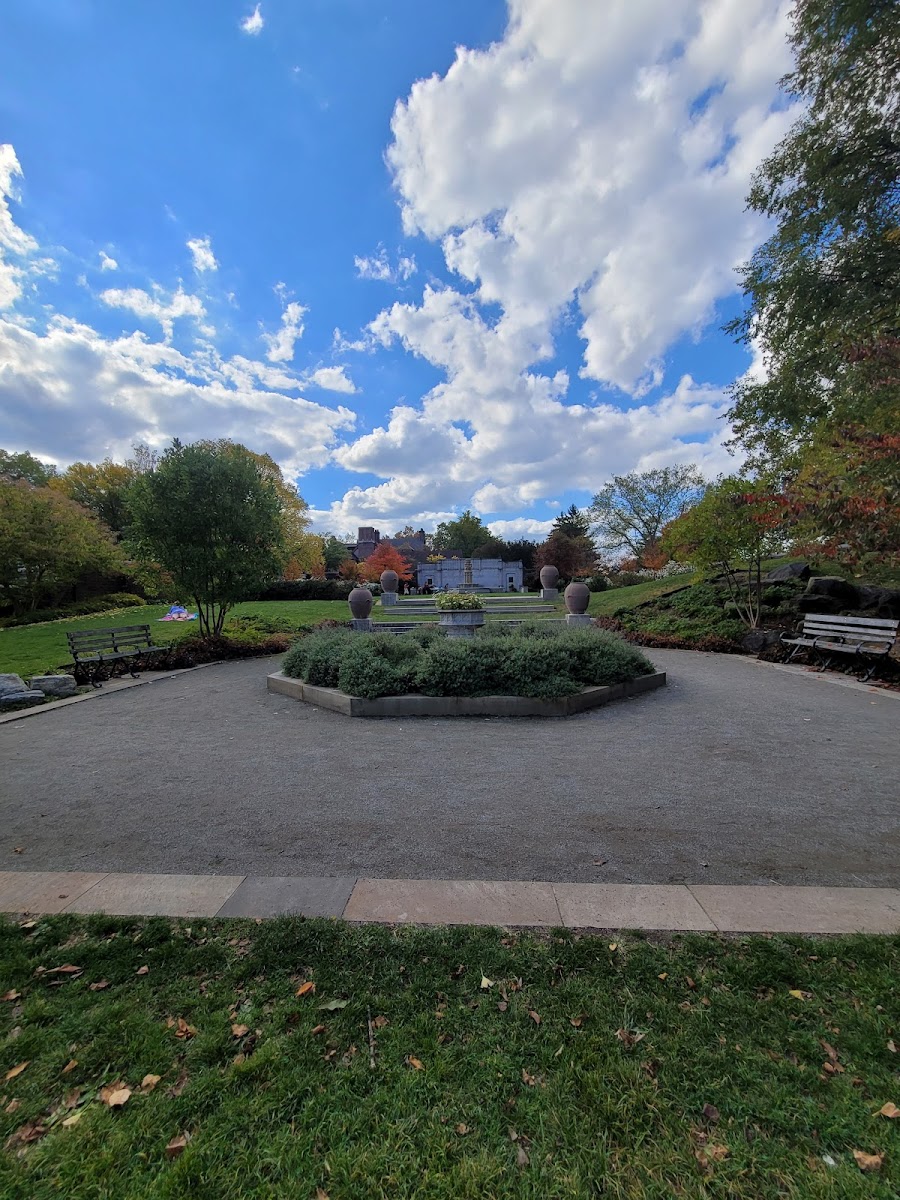 Rose Garden