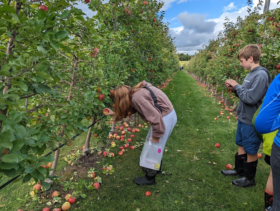 Peck & Bushel Fruit Company