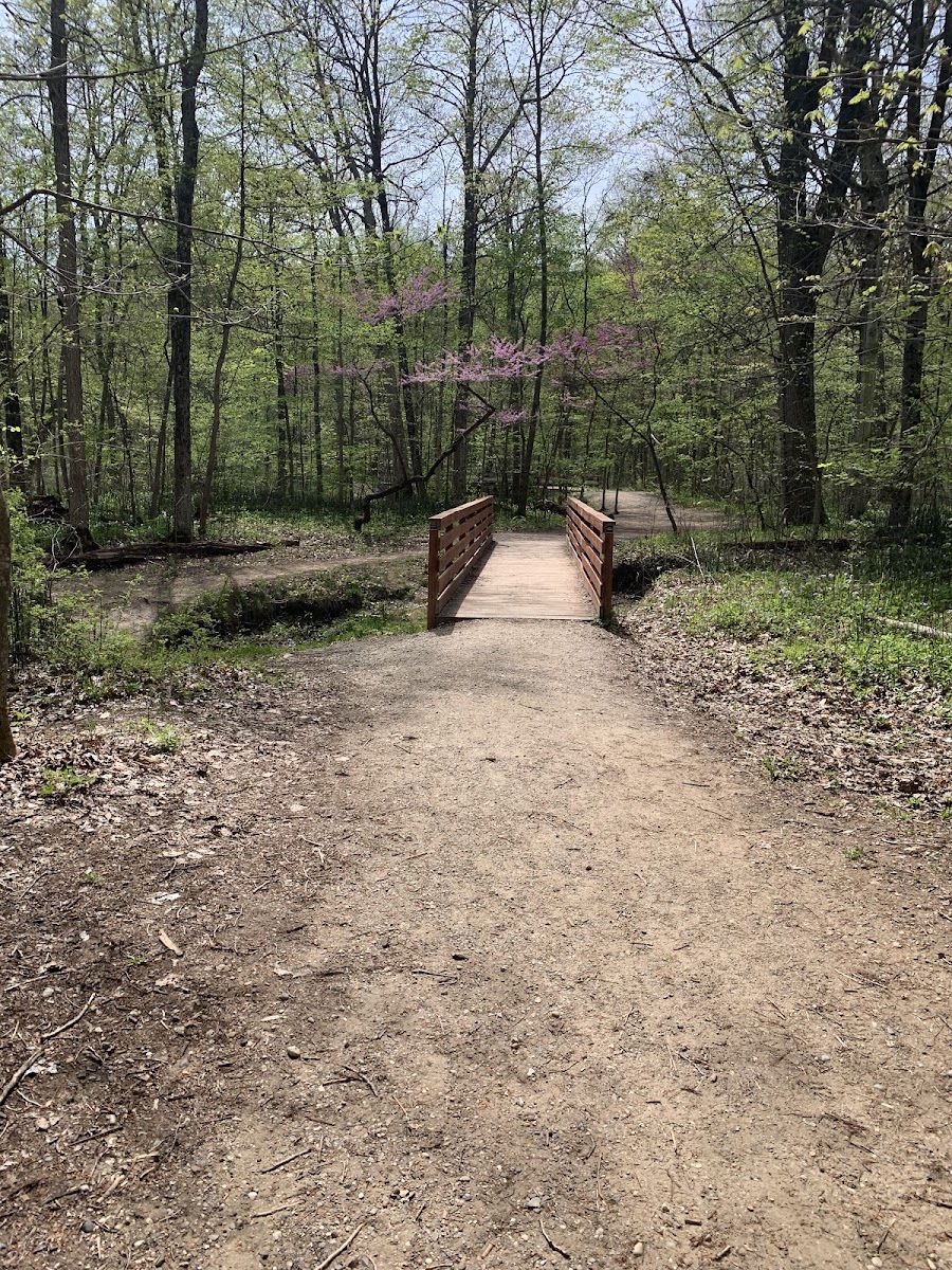 Indian Trails Camp