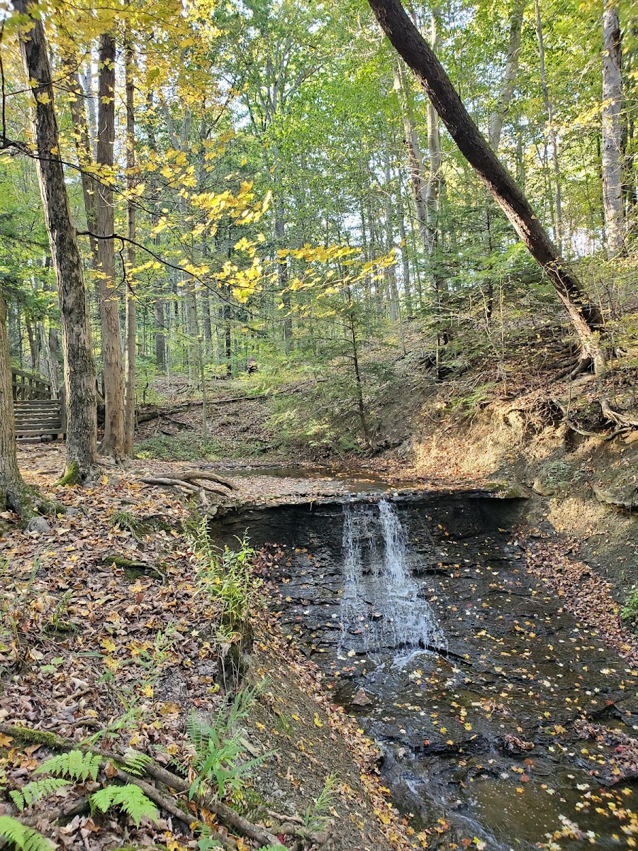 Strawberry Picnic Area