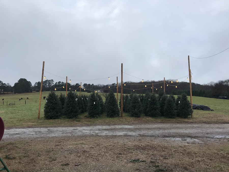3 Guys Tree Farm