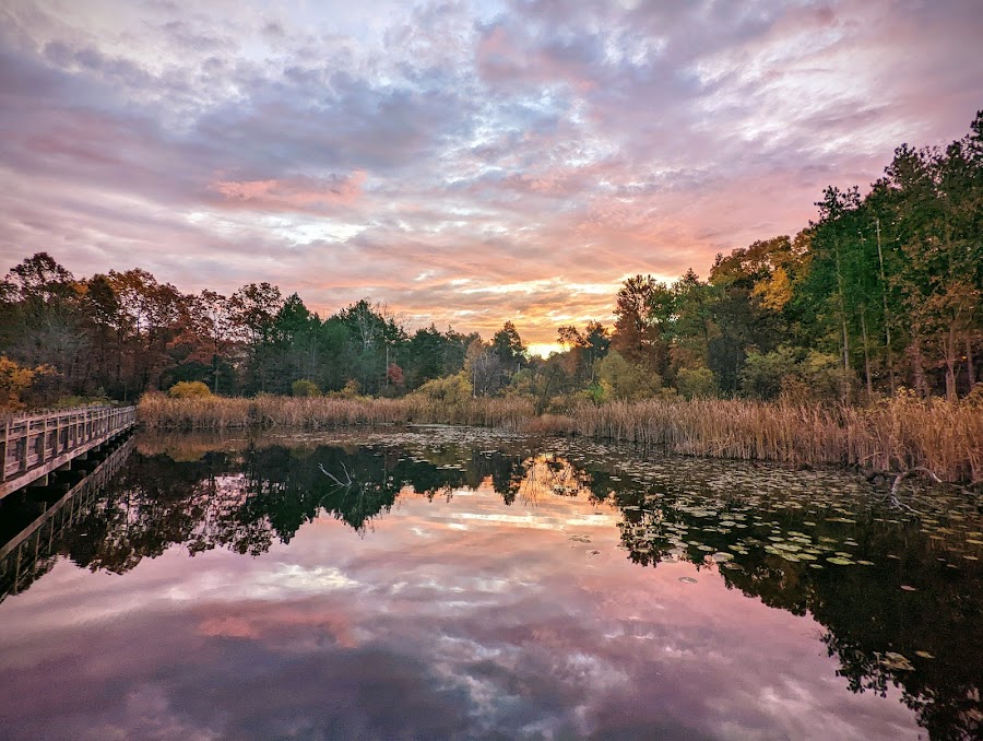 Pickerel Lake Park - Fred Meijer Nature Preserve