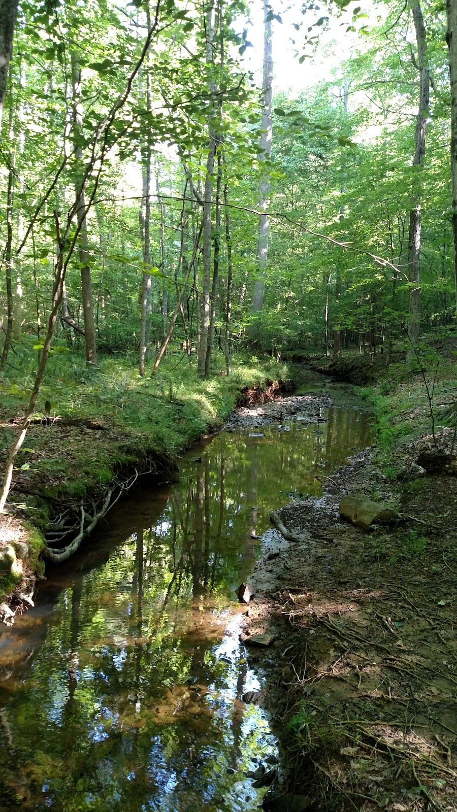 Johnston Mill Nature Preserve