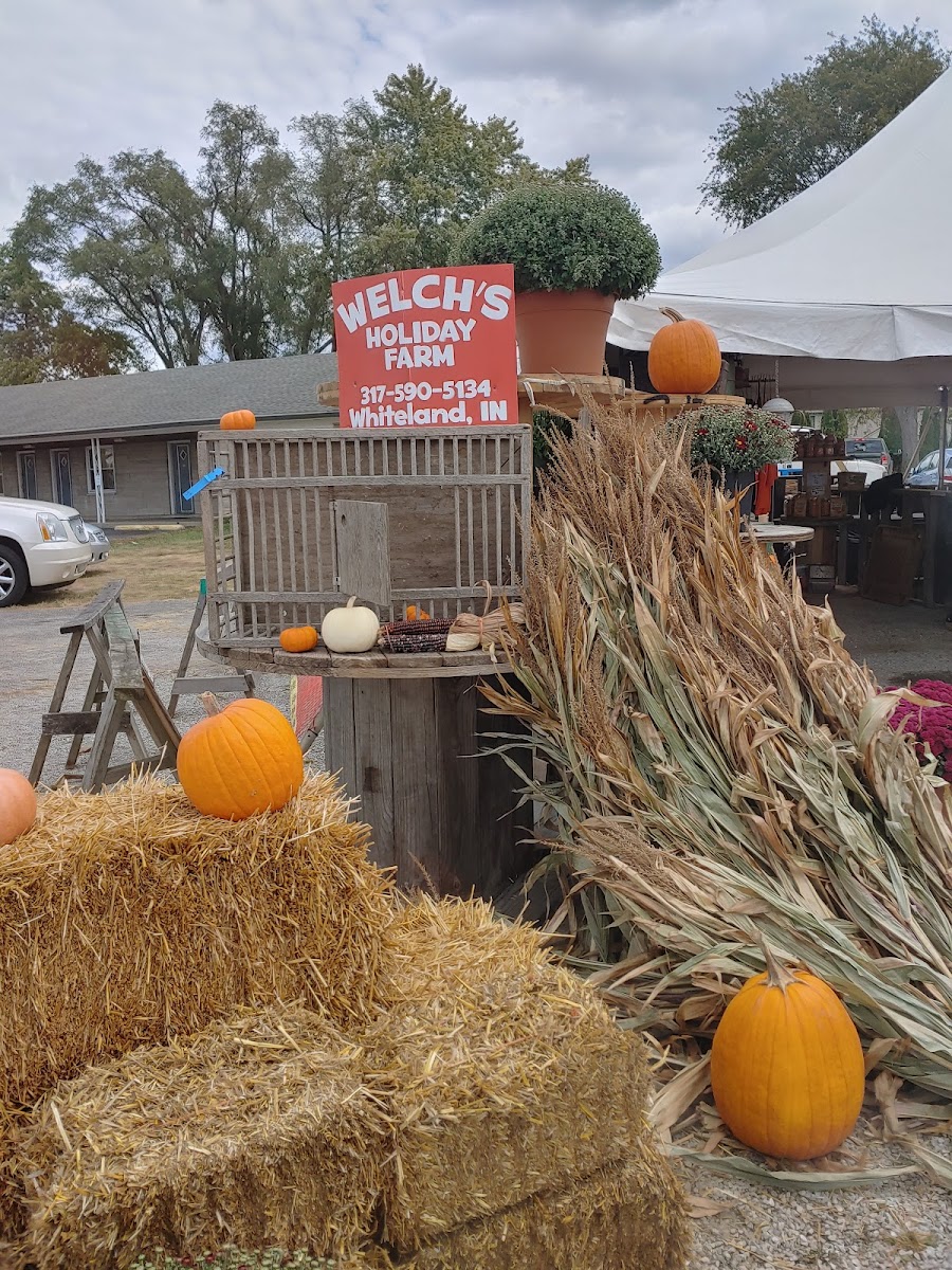 Welch's Holiday Farm