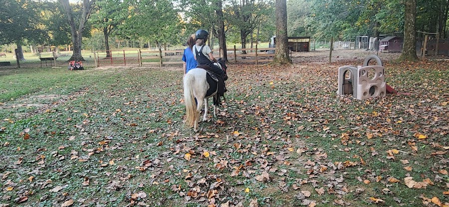 Small Wonders Farm