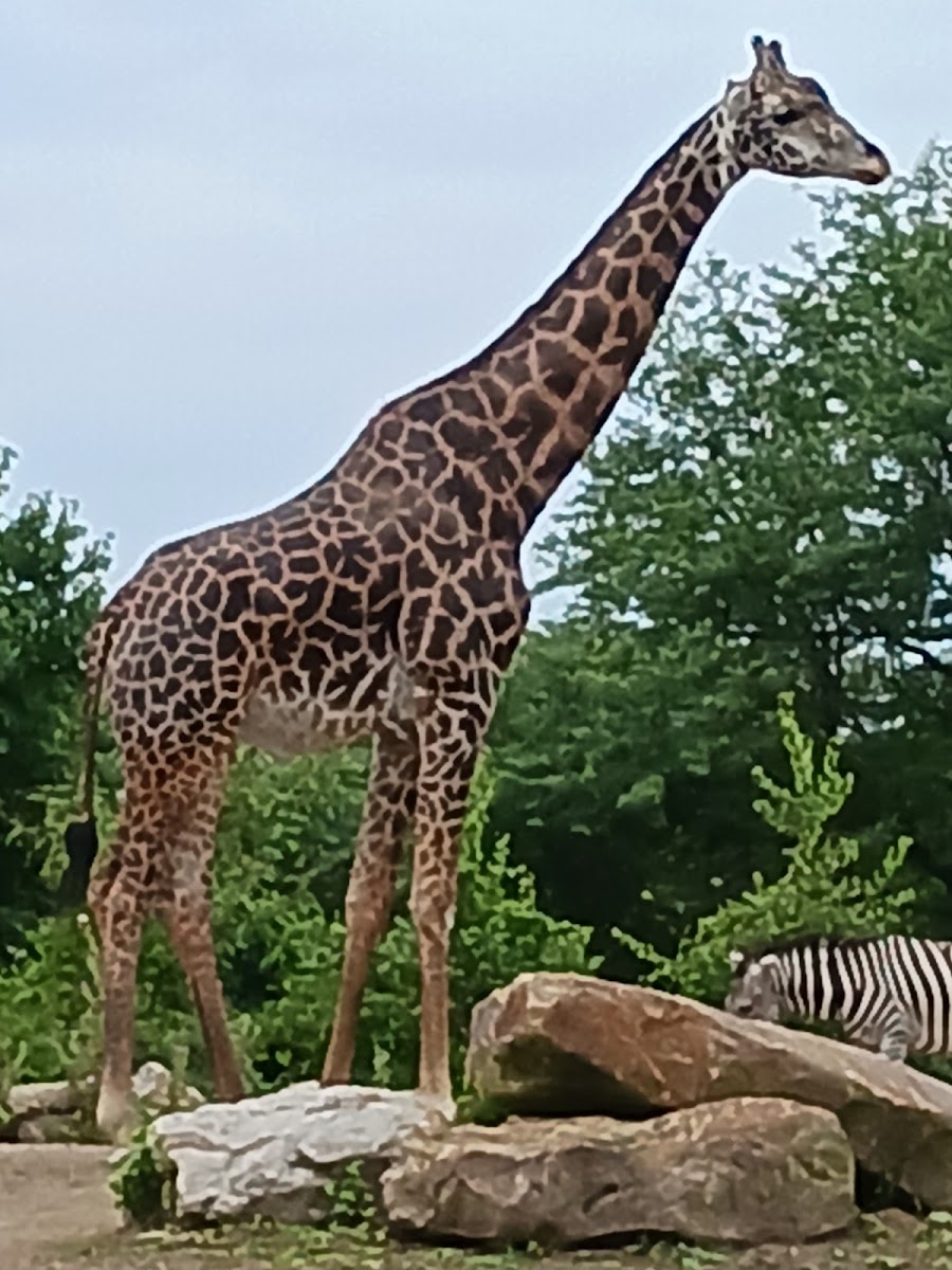 Pittsburgh Zoo & Aquarium