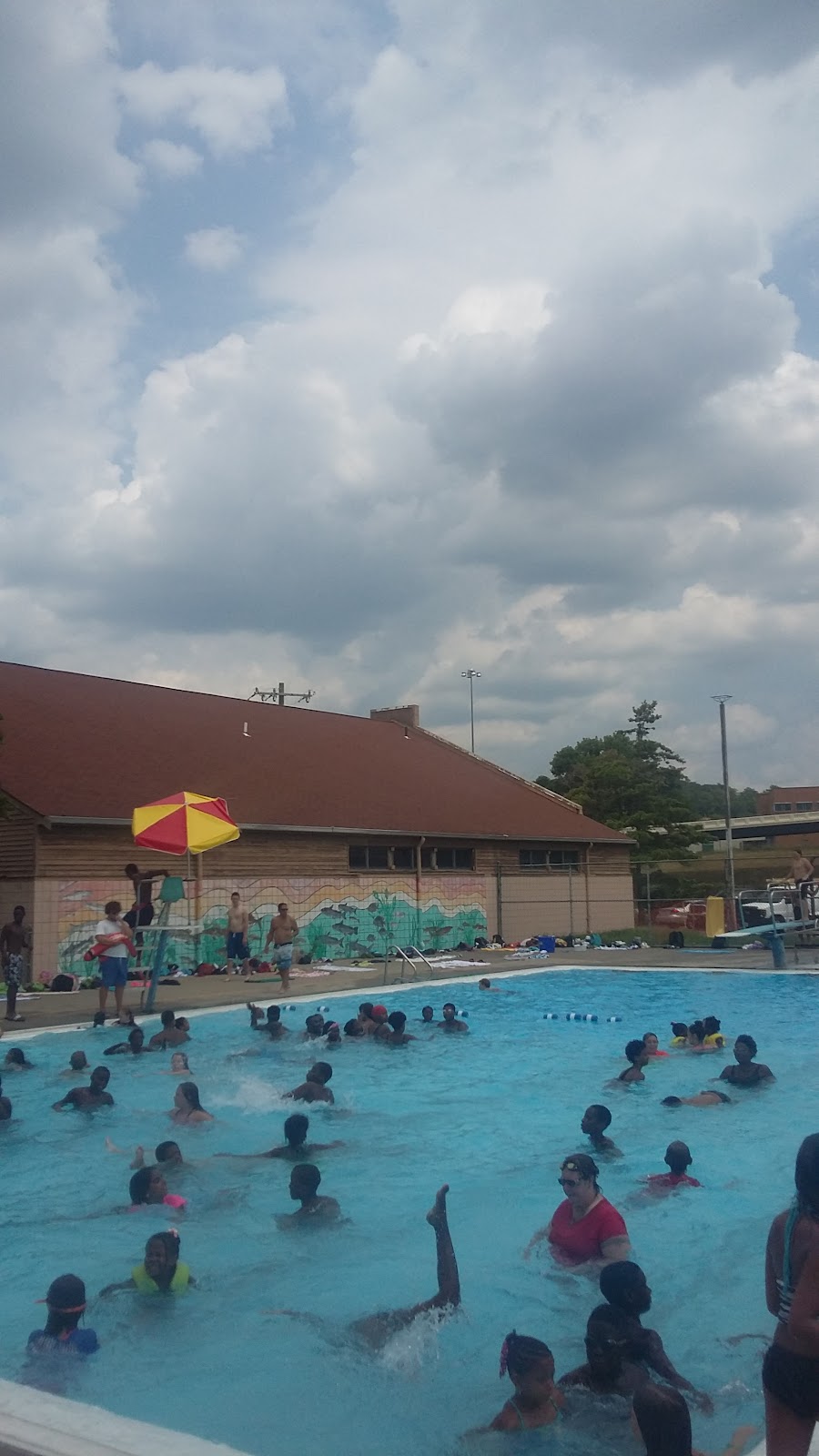 Camp Washington Pool