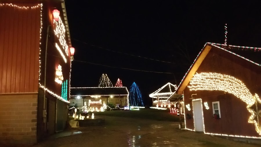 Eichel's Christmas Tree Farm