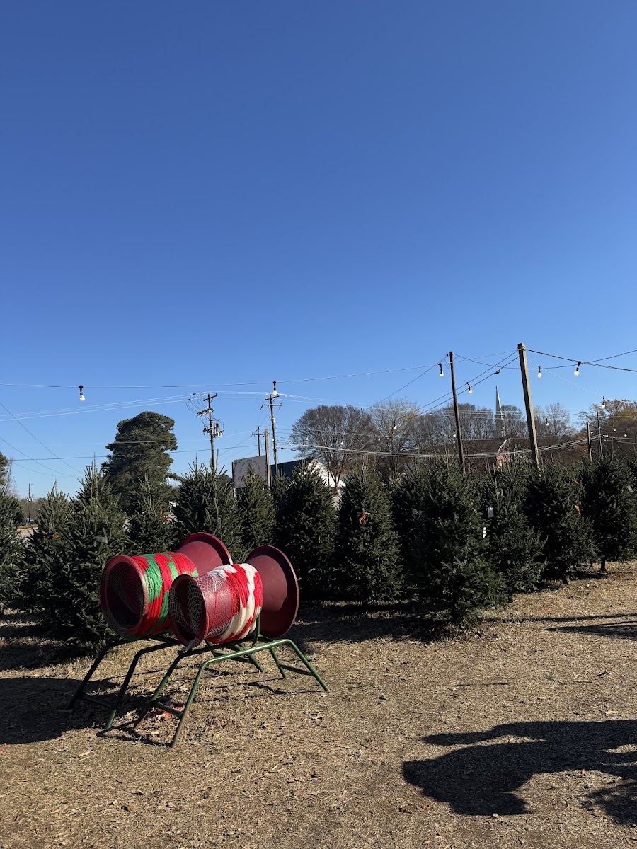 Wagoner's Christmas Trees