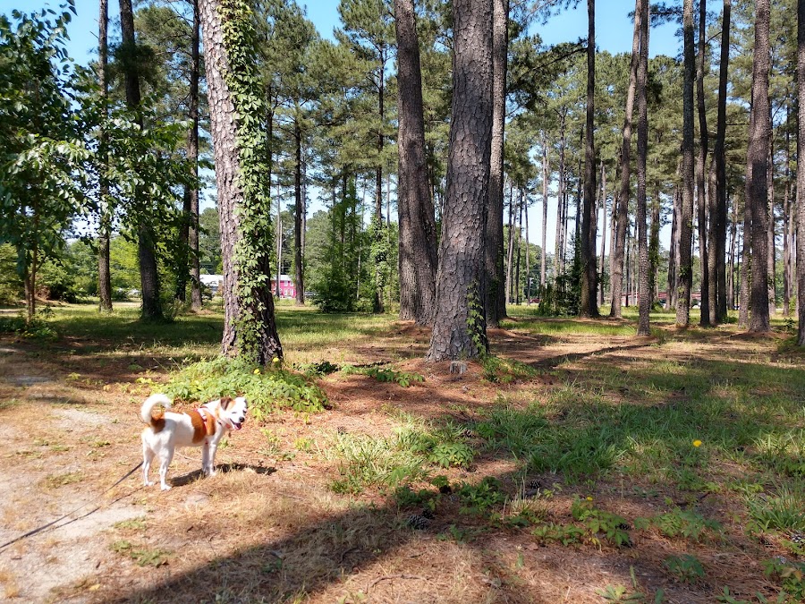 Arboretum at Johnston Community College