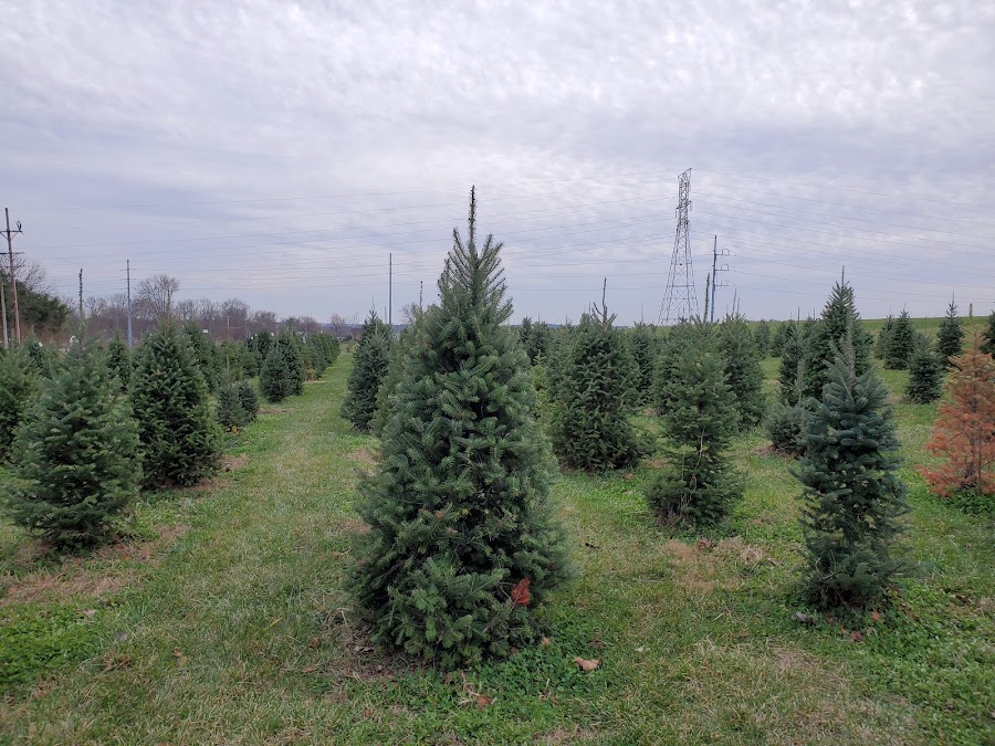 Bartels Farm