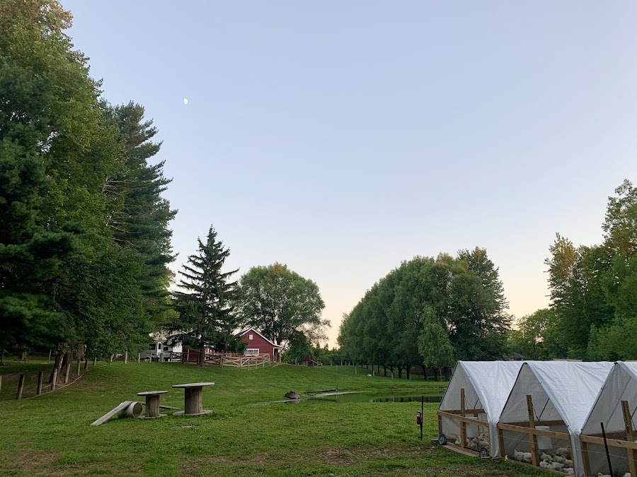 WOODS FAMILY FARM