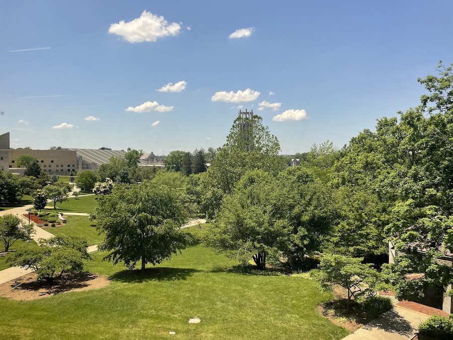 Cox Arboretum
