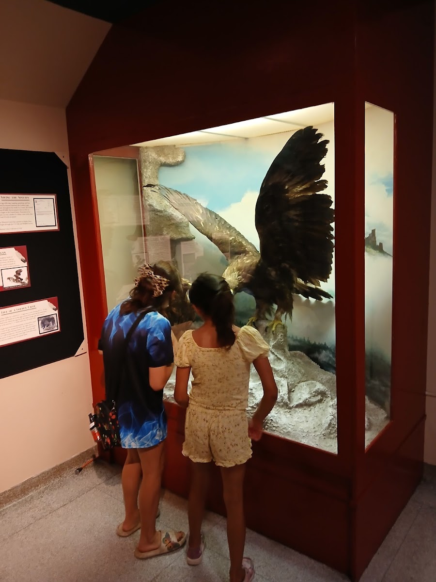 Muskegon Museum of History & Science of the Lakeshore Museum Center