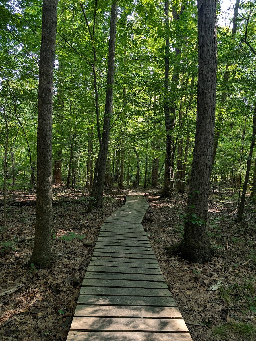 Swift Creek Bluffs Nature Preserve